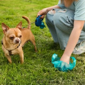 Resim Sylar 10 Adet Evcil Hayvan Kullan At Kaka Poşeti 