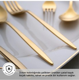 Resim Emsan Alisa Parlak Gold 60 Parça 12 Kişilik Çatal Kaşık Bıçak Takımı 
