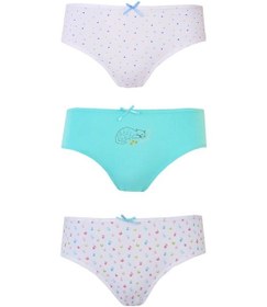 Resim Bhr Kids 3Lü Kız Çocuk Külot Pamuklu Baskılı Esnek Rahat Slip 