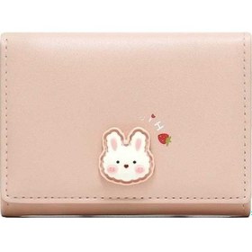 Resim Dancemonkey Sevimli Tavşan Fermuarlı Pu Deri Kredi Kartı Tutucu Kadın Cüzdan-566 Altın Altın 