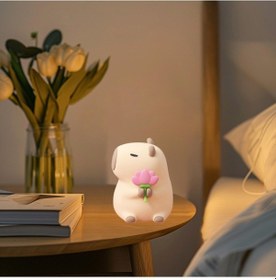 Resim Homyl Kapibara Gece Lambası Işık Süsleme Dekor Usb Lı Stil B Çok Renkli 