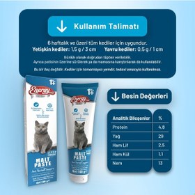 Resim Yetişkin Kedi Malt Paste 100 G - 24 Adet 