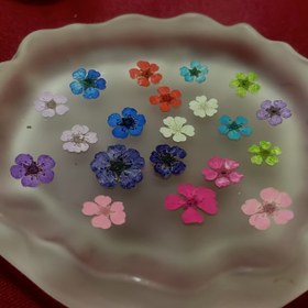 Resim 35 adet Mini Çiçek Basit Çiçekler - Çeşitli Renkler (Pembe, Mavi, Mor, Beyaz, Yeşil) DIY El Sanatları, Scrapbooking, Düğün Dekoru, Ev ve Parti Dekorasyonu için - Doğal Ahşap Malzeme, Çiçek Süsleri 