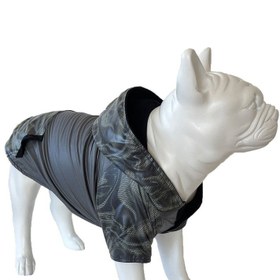 Resim Galaksi Yeşil Köpek Kıyafeti - XS 