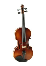 Resim Keman Stanislava Öğrenci Stv12Br 