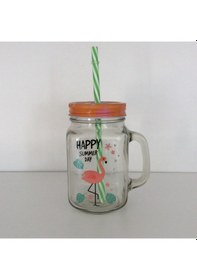 Resim Flamingo Figürlü Limonata Kavanozu Çok Renkli 