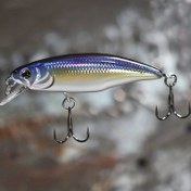 Resim Biyonik Sert Yem Balıkçılık Yemleri - Bas, Pike ve Daha Fazlası için 5.2cm / 2.05 inç 4.5g Jerkbait - Başarılı Balıkçılık için Batan Minnow Wobblers ve Swimbait Takımı 