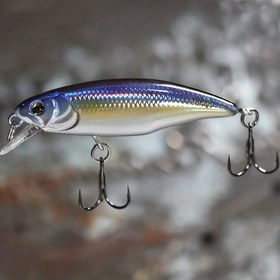 Resim Biyonik Sert Yem Balıkçılık Yemleri - Bas, Pike ve Daha Fazlası için 5.2cm / 2.05 inç 4.5g Jerkbait - Başarılı Balıkçılık için Batan Minnow Wobblers ve Swimbait Takımı 