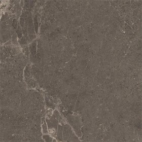 Resim VitrA 60X60 Meteorite Fon Vizon R10B Porselen Karo K953498R0001VTE0 