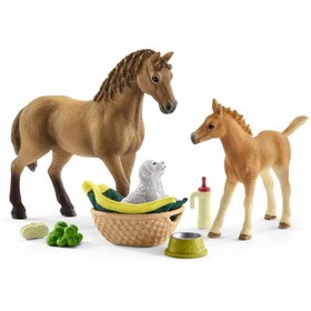 Resim Schleich Sarahın Hayvan Bakım Seti 42432 