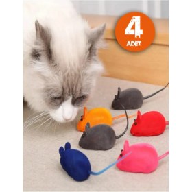Resim Kedi Eğitim Oyun Faresi 4 Adet 
