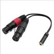 Resim 3.5 mm Stereo Dişi-2 Xlr Dişi Kablo 20 cm 