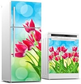 Resim Buzdolabı Ve Bulaşık Makinesi Takım Sticker 0115 