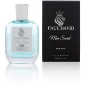 Resim Paul David E-223 Erkek Parfüm EDP 50 ML 