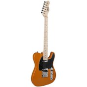 Resim Dmx Telecaster TL-YW Elektro Gitar (Taşıma Çantası Hediyeli) 