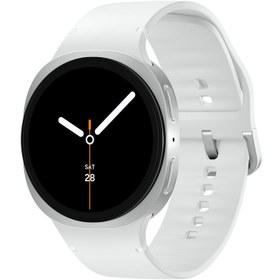 Resim Samsung Galaxy Watch8 44mm Gümüş 