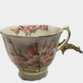 Resim İngiliz Royal Albert Blossom Time porselen çay fincanı 