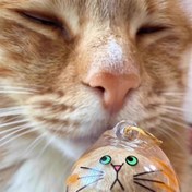 Resim Kedi Tüyü Saklama Kapsülü Anahtarlık - Yeşil Gözler ve Turuncu Çizgili Şeffaf Kedi Şeklinde Yün Düzenleyici, Kedi Severler İçin Yaratıcı Hediye 