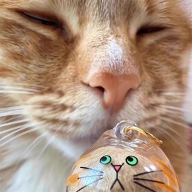 Resim Kedi Tüyü Saklama Kapsülü Anahtarlık - Yeşil Gözler ve Turuncu Çizgili Şeffaf Kedi Şeklinde Yün Düzenleyici, Kedi Severler İçin Yaratıcı Hediye 