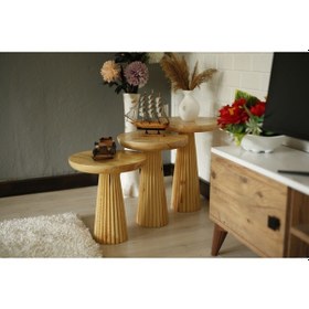 Resim Wood Wooden 3'lü Set Fitilli Mantar Yan Sehpa Modern Ahşap Renk Parlak Vernikli Fiskos Ahşap 