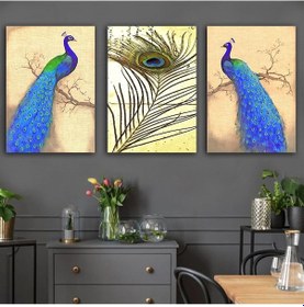 Resim Kanvas Tablo 3 Lü Set Tavus Kuşlu 73 