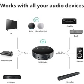 Resim Wiim Mini Airplay2 Kablosuz Ses Aktarıcı 