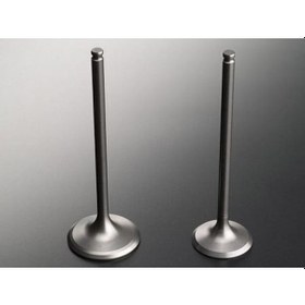 Resim Gunes 4008-4009 - Subap Emme Egzoz Corsa 1.2 16v In-8/ex-8 