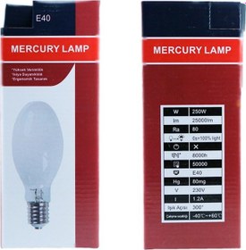Resim Mercury 250W 230V 3600K E40 Elips Cıva Buharlı Ampul 