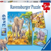 Resim Ravensburger 3x49 Parça Puzzle Vahşi Hayvanlar 080038 