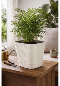 Resim Omnipazar So-zb04 Zambak Dekoratif Plastik Saksı 5.6 Litre No:4 67041024 