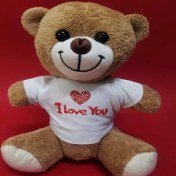 Resim Alifa Toptan I Love You Tişörtlü Ayı 