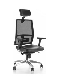 Resim Rapido WORK Fileli Ergonomik Yönetici Koltuğu 