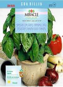 Resim Miracle Saksılık Çok Geniş Yapraklı Tatlı Fesleğen Tohumu 250 Toh 