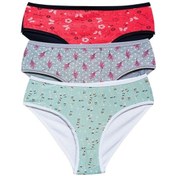 Resim Pamuklu Geniş Kenarlı Likralı Desenli Bato Kadın Külot 3'lü Paket Set1 Çok Renkli 