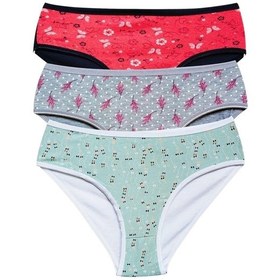 Resim Pamuklu Geniş Kenarlı Likralı Desenli Bato Kadın Külot 3'lü Paket Set1 Çok Renkli 