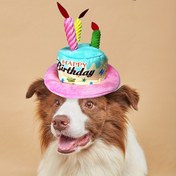 Resim Renkli Mumlarla 1 Paket Evcil Hayvan Doğum Günü Şapkası - Köpekler & Kediler için Ayarlanabilir Mutlu Yıllar Tasarımı, Küçük Orta Büyük Irklar için Her Mevsim Dayanıklı Polyester Parti Aksesuarı, Eğlenceli Fotoğraf Propu & Kutlama Hediyesi, Oyunbaz Tasarım 