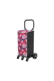 Resim Practice Pazar Arabası 