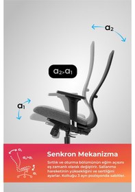 Resim Ergolife Synchrosit 8 Ergonomik Ofis Sandalyesi Ayarlanabilir Kolçaklı, Fileli, Öğrenci Sandalyesi -297.d.1.2f3 Çok Renkli 