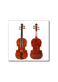 Resim Picaldi Vh50J Nb 4/4 Keman 