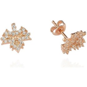 Resim Glorria Gümüş Yaprak Küpe N11.31235 