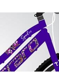 Resim Carraro Speed 262 V Fren 21 Vites 26 Jant Dağ Bisikleti Eflatun Beyaz Mor 