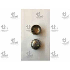 Resim Kapak Teker Yağ D22 98-02 Ön Sol/sağ / 40234-01g00 