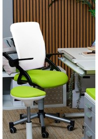 Resim Creo Mobili Yükseklik Ve Sırt Ayarlı Vega Çalışma Sandalyesi, Ofis Ve Bilgisayar Koltuğu Beyaz/yeşil Gri 