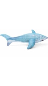 Resim Gerçek Köpekbalığı Hayvan Binici - 41405 (Lisinya) 