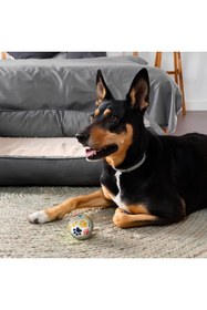 Resim Hype Store Kanji 3'lü Kedi Köpek Tenis Topu | 6.5 cm Orta Boy Renkli Pati Desenli Dayanıklı Oyuncak | Diş Dostu 