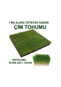Resim Kedi Çimi Tohumu Ortalama 10.000 Adet 