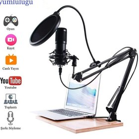 Resim Profesyonel Usb Kondansatör Mikrofon Seti Ayarlanabilir Kol Stand 