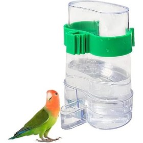 Resim Yaozixa Kuş Otomatik Su Ve Yemleme Seti - Transparan Plastik Kutu - 220ml - Orta Küçük Kuşlar İçin Papağan, Kanarya, Serçe 