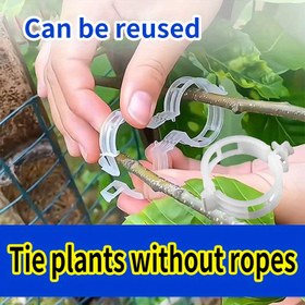 Resim 100/500 adet Dayanıklı Plastik Bitki Klipsi | Kolay Snap Tasarımıyla Yeniden Kullanılabilir Bahçe Destekleri | Sebzeler, Domatesler ve Tırmanıcı Bitkiler için Hava Koşullarına Dayanıklı Eğitim Klipsleri | Bitkileri Sabitlemek İçin 