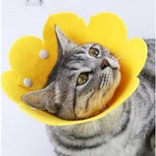 Resim Evcil Hayvan M Boy Keçe Elizabeth Yakalığı 